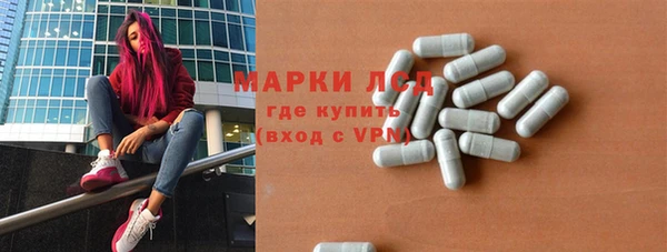 ПСИЛОЦИБИНОВЫЕ ГРИБЫ Костерёво