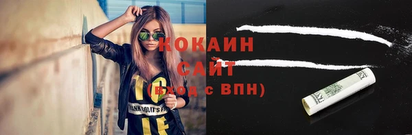 ПСИЛОЦИБИНОВЫЕ ГРИБЫ Костерёво