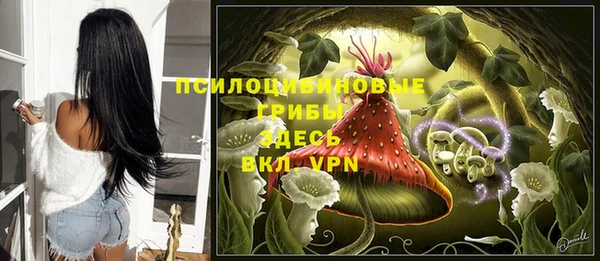 ПСИЛОЦИБИНОВЫЕ ГРИБЫ Костерёво