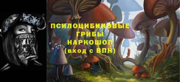 ПСИЛОЦИБИНОВЫЕ ГРИБЫ Костерёво