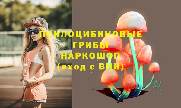 ПСИЛОЦИБИНОВЫЕ ГРИБЫ Костерёво