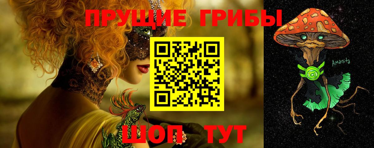Сызрань  Псилоцибиновые грибы прущие грибы  Вход с VPN  Галлюциногенные грибы Psilocybe 