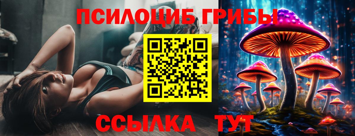 Псилоцибиновые грибы ЛСД Сызрань