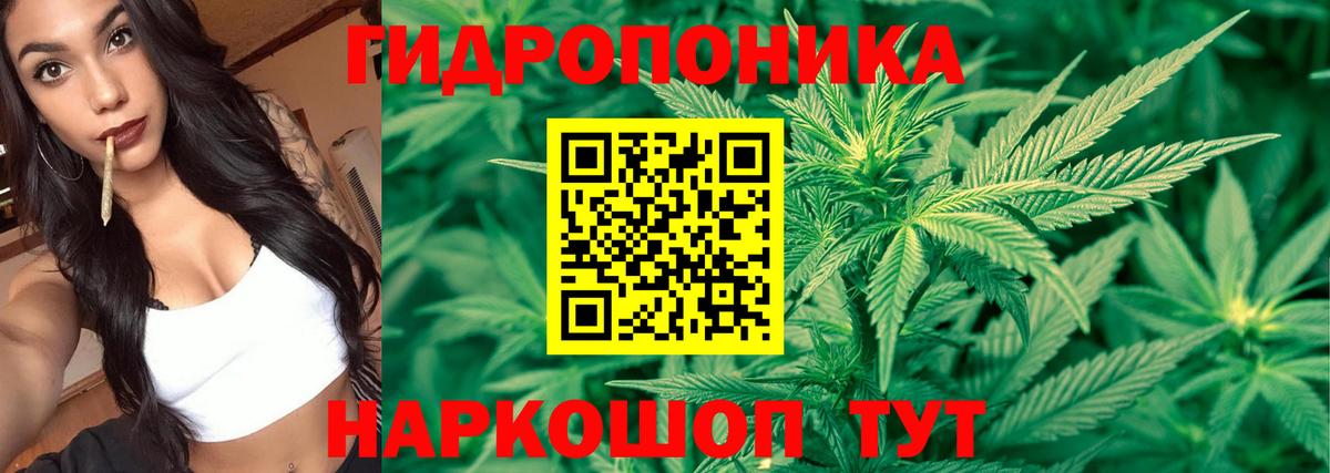Сызрань  Конопля гибрид  Конопля White Widow  Вход с VPN  Каннабис AK-47 
